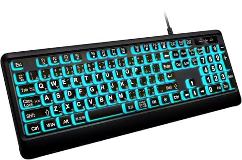 大きめの文字のバックライト付きキーボード、静かなUSB有線コンピューターキーボード、光るホワイトLED付きフルサイズキーボード Windowsデスクトップ、ノートパソコン、PC、ゲームに対応、ブラック (ブラック, 特大)