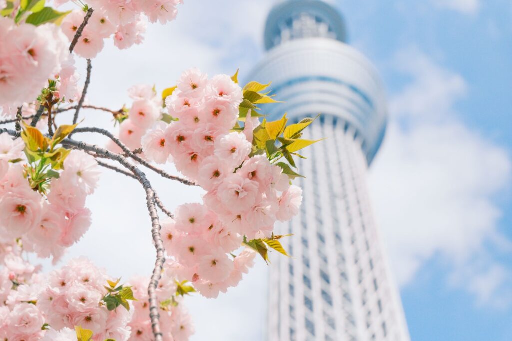 日本の人気スキンケアブランドおすすめランキング — 日本の人気スキンケアブランドおすすめランキング完全ガイド